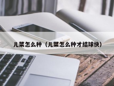 儿菜怎么种（儿菜怎么种才结球快）