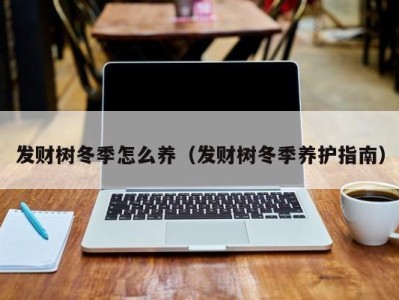 发财树冬季怎么养（发财树冬季养护指南）